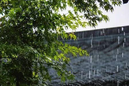 煮茶听雨古诗词