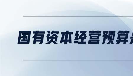 国企资金属于财政性资金吗