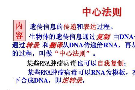 原核生物中心法则