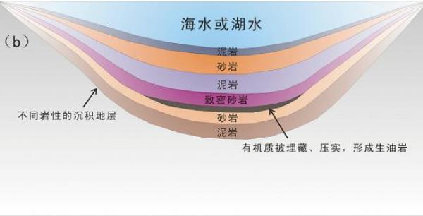 石油为什么存在与沉积岩中