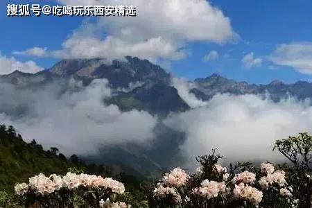 湖北十大海拔高山排名