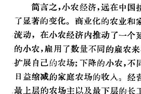 小农经济主导地位的确立时间