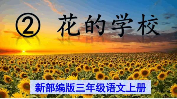 花的学校第三自然段是写什么