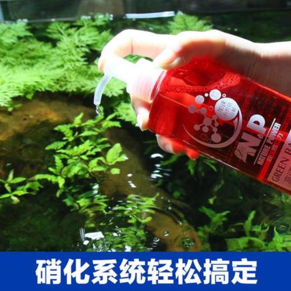 鱼缸加硝化细菌后浑浊怎么办