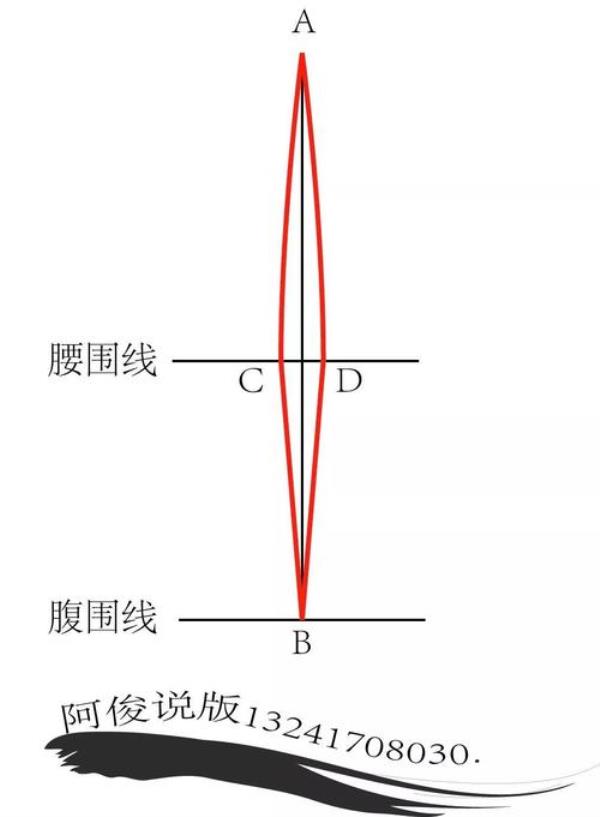 腰围平量什么意思