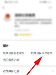 农村医保缴费怎么查询缴费记录