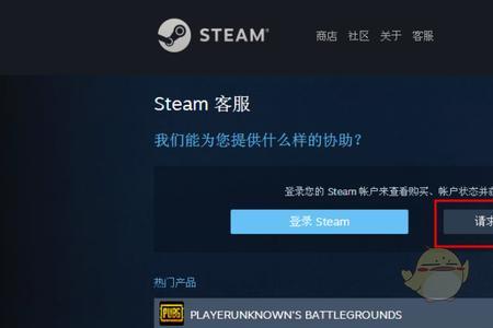 steam为什么加载不出来支付页面