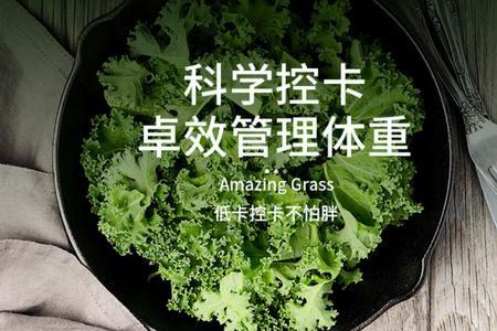 青汁和羽衣甘蓝粉的区别