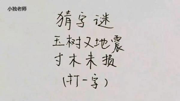 树木在地种打一字