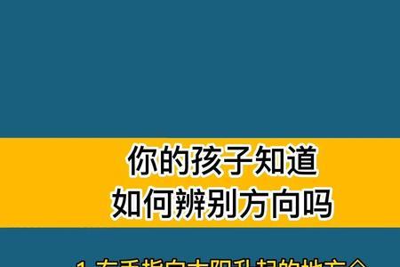 辨别方向是什么意思