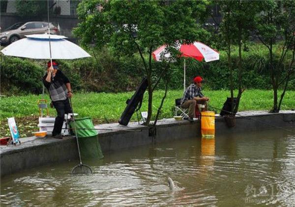 三级风钓鱼怎么样