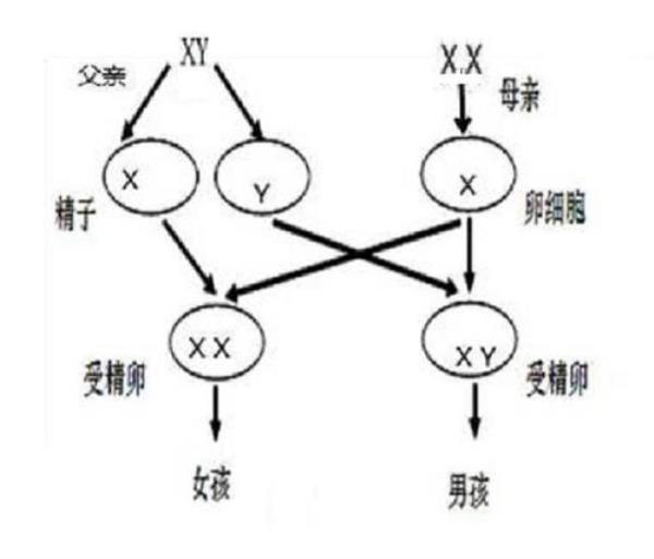 男女之间有磁场什么意思