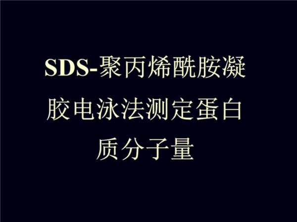 sds凝胶电泳法中哪种分子移动得快