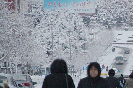 山东下大雪顺口溜