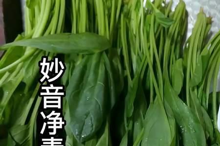 菠菜豆泡的做法