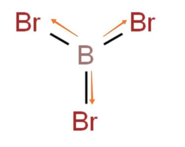 B12是极性还是非极性分子