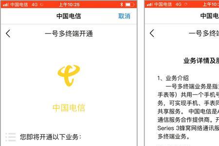 电信esim一号双终端费用