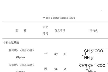 氨基酸mc是什么意思