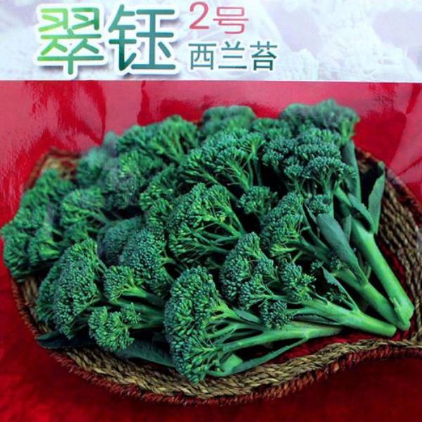 菜中君子是指哪种蔬菜