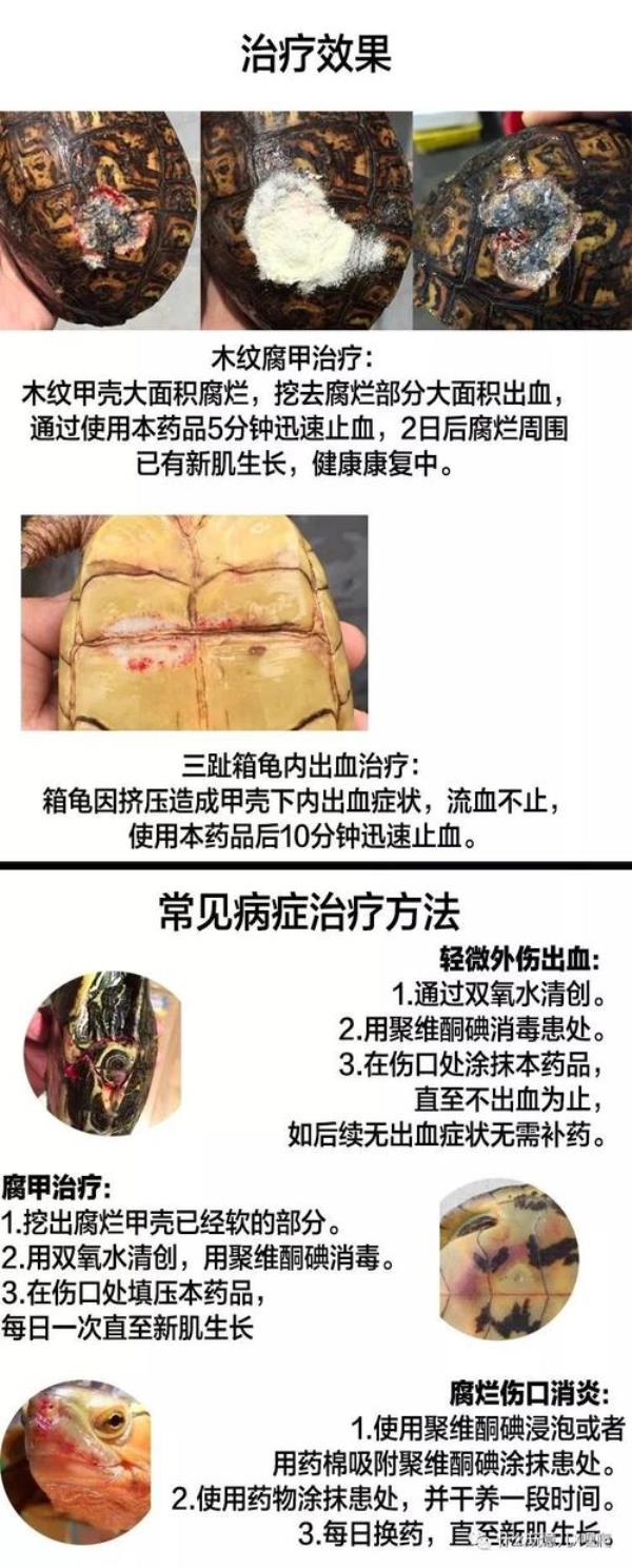 黄头侧颈龟烂甲怎么办