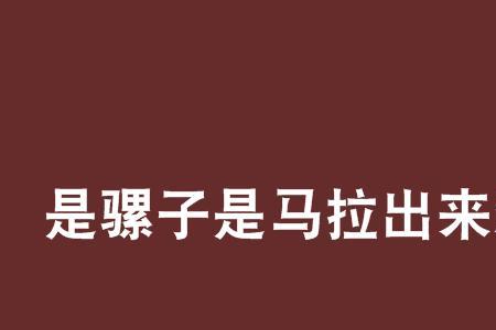 形容一个人死犟的歇后语