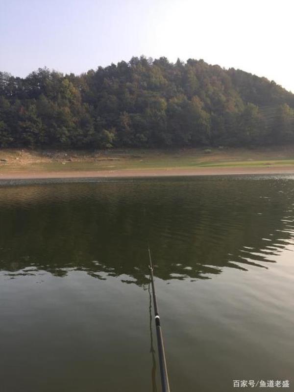 初夏钓鱼迎风钓还是背风钓