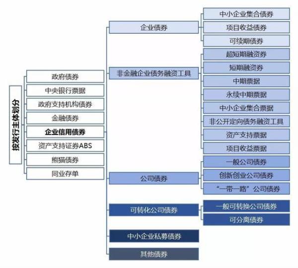 国企和私企成立合资公司流程