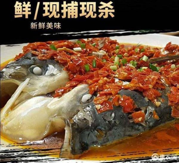 雄鱼最佳吃食时间