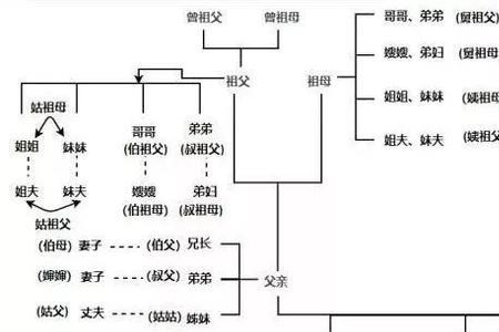 祖父的媳妇怎么称呼