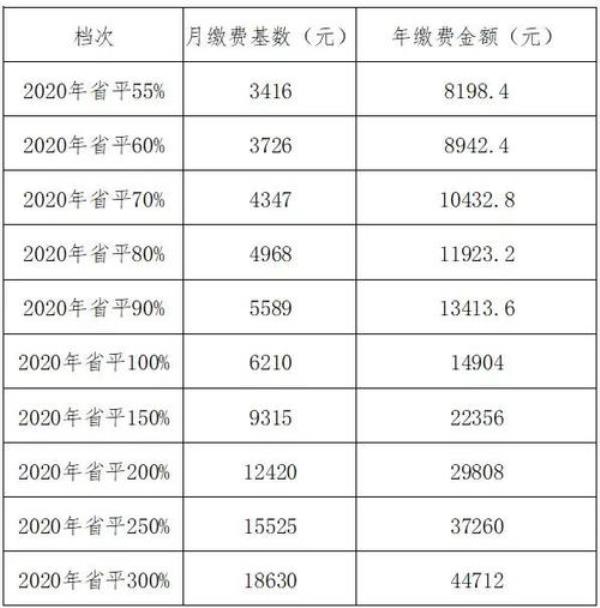 昆明灵活就业2022年社保缴费标准