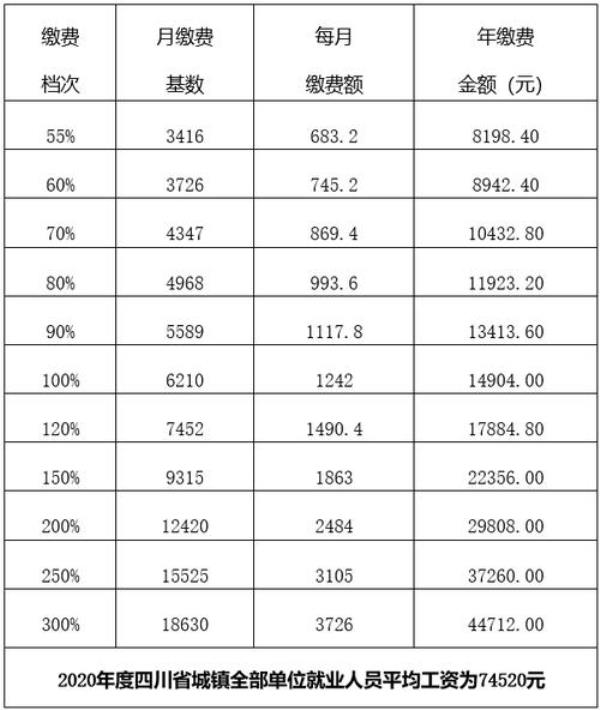 四川2022年灵活就业社保缴费明细