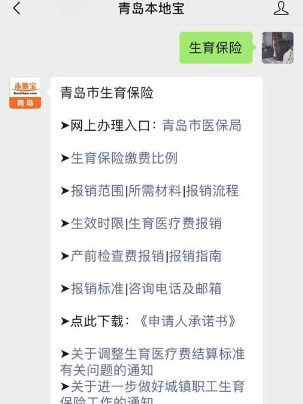 青岛宝宝医保网上怎么缴费