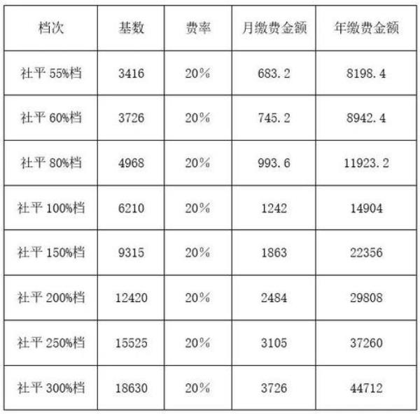 2021张家口灵活就业社保缴费时间