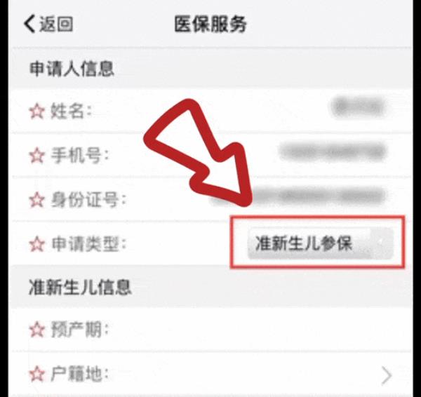 新生儿医保缴费记录怎么查