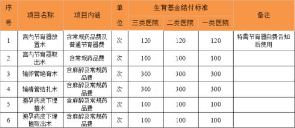 石家庄怎么查生育津贴受理进度