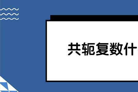 共轭国家是什么意思