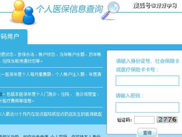 城镇医保查询入口