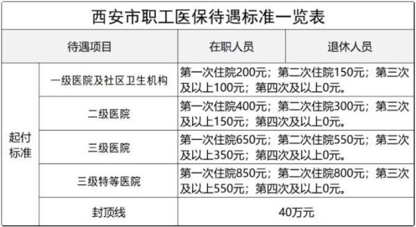 西安市医保年审流程