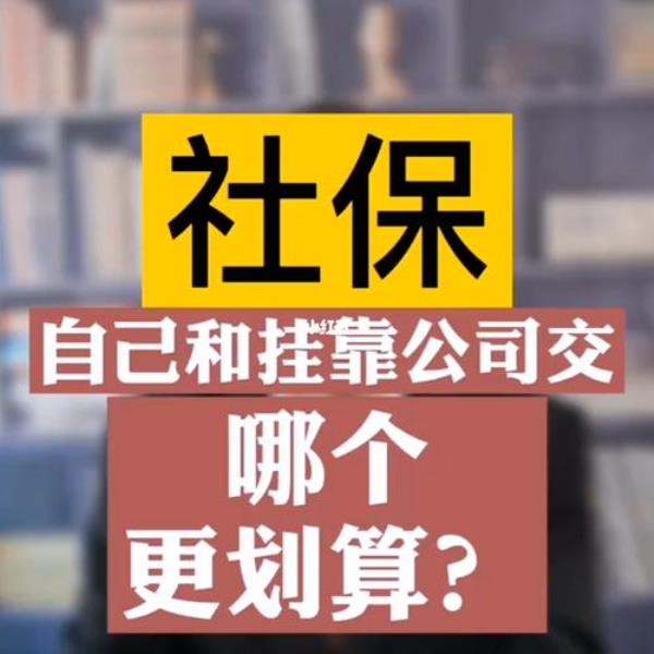 挂靠单位代缴社保，怎么查询