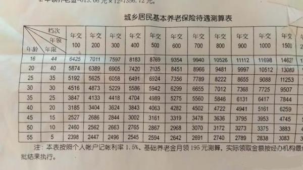 农村每年交的200社保怎么查询