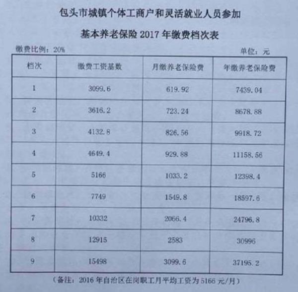 12333怎么查社保缴费明细