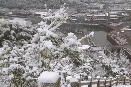 成都旁边的九峰山下雪了吗