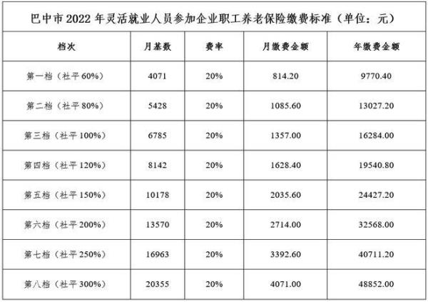 南阳灵活就业2022缴费标准及明细