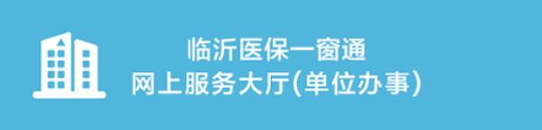 山东医保报停可以网上办理吗