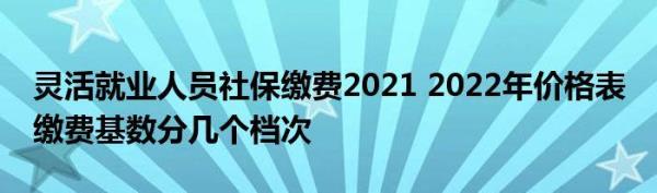 上海灵活就业2021缴费标准外地人