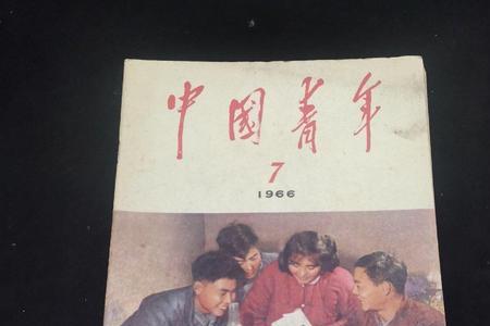 1966什么时代