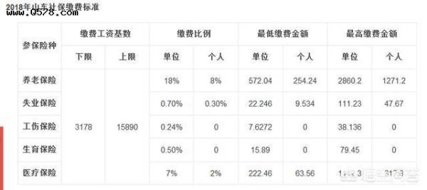 交五险一金可以查到单位吗