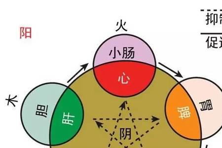 物生有两，相反相成是什么意思