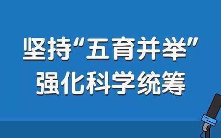 为什么父母要实施，五育并举