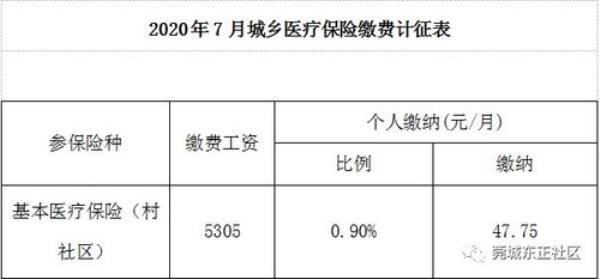 职工医保单位缴纳部分怎么查看